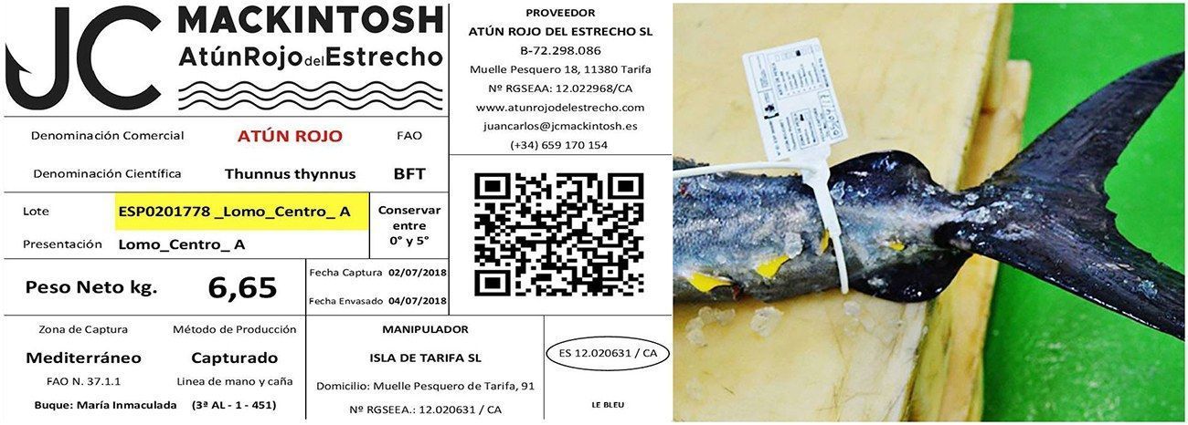 Trazabilidad del atún rojo