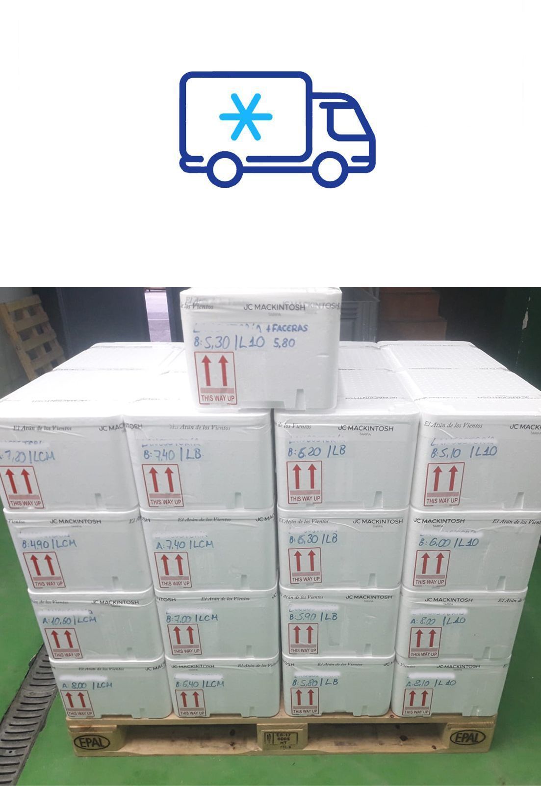 24h. Shipping 